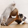 Cat Scratching Board: Climbing Frame Made of Durable Sisal - Image 4