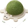 Turtle Cat Toy - Interactive Wooden Trackball Spinner for Kittens - Image 2