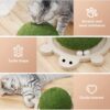 Turtle Cat Toy - Interactive Wooden Trackball Spinner for Kittens - Image 4