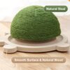 Turtle Cat Toy - Interactive Wooden Trackball Spinner for Kittens - Image 6