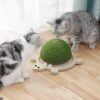Turtle Cat Toy - Interactive Wooden Trackball Spinner for Kittens - Image 3