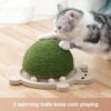 Turtle Cat Toy - Interactive Wooden Trackball Spinner for Kittens - Image 5