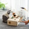 Cat Toys,A Mole Solid Wood Box Interactive Cat Toys,Catch Mice Game - Image 6