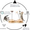 Cat Toys, Interactive Cat Feeder Toy, Pet Exercise Toys - Image 6
