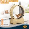 Cat Wheel, Cat Treadmill,Indoor exercise for pets - Image 2
