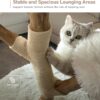 Modern Cat Tree Tower，Wooden Cat Tower,Heavy Duty Cat Trees for Large Cats - Image 5