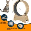 Cat Wheel, Cat Treadmill,Indoor exercise for pets - Image 3