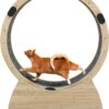 Cat Wheel, Cat Treadmill,Indoor exercise for pets