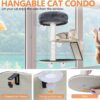 Cat Tree,Window Mountable Cat Tower for Indoor Cats with 4 Strong Suction Cups - Image 2