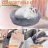 Cat Tree,Window Mountable Cat Tower for Indoor Cats with 4 Strong Suction Cups - Image 3